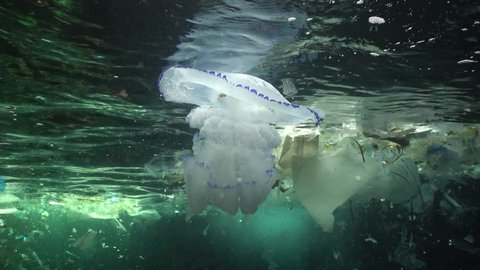 Plastic garbage and other debris floating underwater. Marine pollution. Plastic debris in the water, killing wildlife. Black Sea, Bulgary