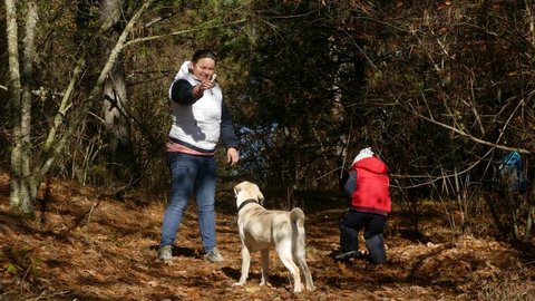 A woman is training a dog in the forest.