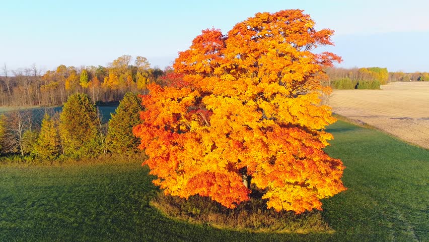 Dazzling aerial view breathtaking Autumn colors, Door County Wisconsin.
