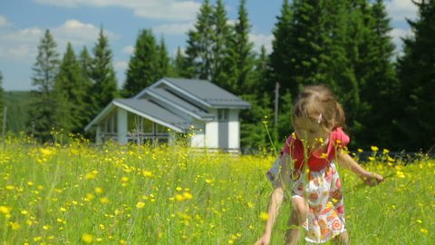 Little girl picking flowers on meadow