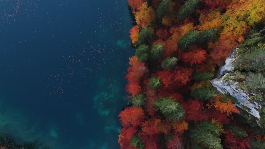 Blue water lake edge and autumn forest, top down from above.
