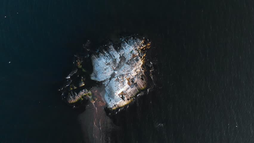 Aerial shot crane camera goes down on a flock of birds sitting on a small isolated island