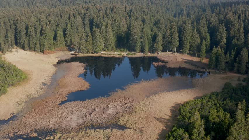 Aerial view on Black lake and marshes, forest in background on Pohorje mountain, Slovenia, autumn morning