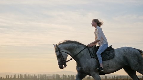 Young blonde girl riding on a horse on the field during sunset స్టాక్ వీడియో
