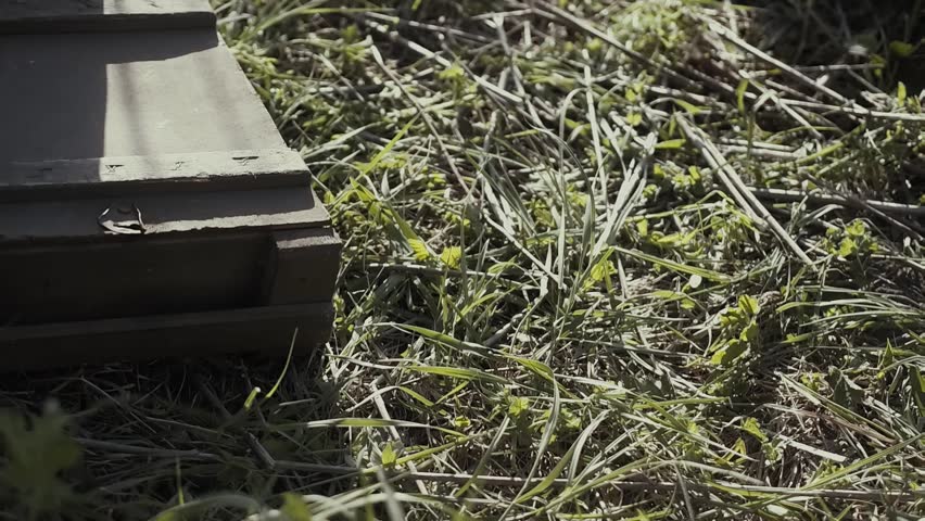 Two Soviet soldiers of the Second World War, hiding a box of gold, several dozen gold bars, they want to bury the treasure, agents of the KGB or NKVD perform a secret mission, gold in the field