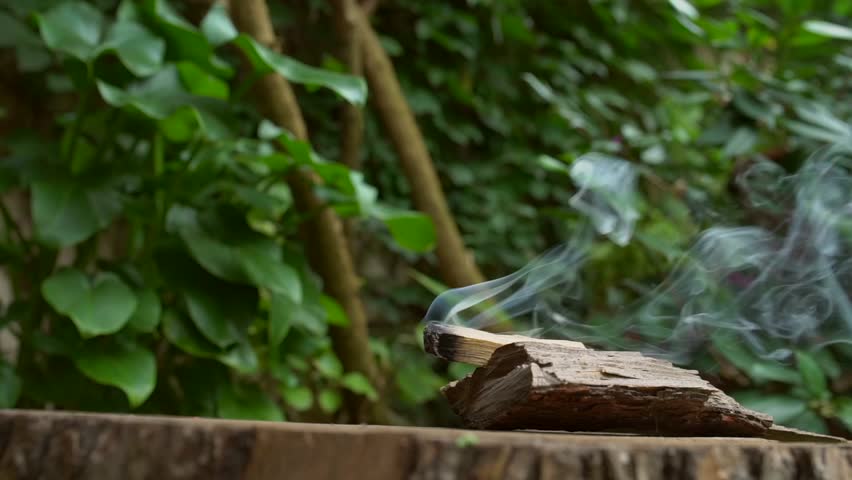 Palo santo incense | Shutterstock HD Video #1018537915
