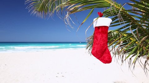 Christmas stocking hanging on coconut palm tree leaf. New Year decoration