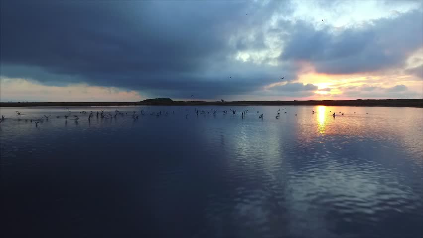 Breathtaking view: flying above the lake at amazing sunrise with beautiful cloudscape. A lot of gulls are flying up from the dark blue water. Far East of Russia
