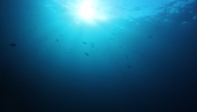 Underwater ocean background and sun 