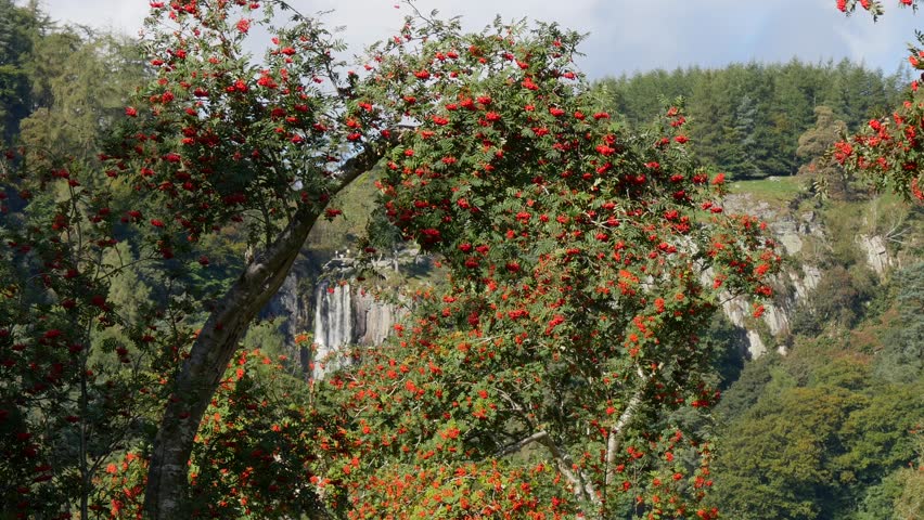 Pistyll Rhaeadr Falls is an enchanting waterfall with a lovely stream with flowing water over the rocks, It
