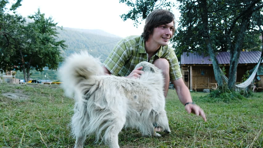 Man plays with puppies and old dogs at the campsite
