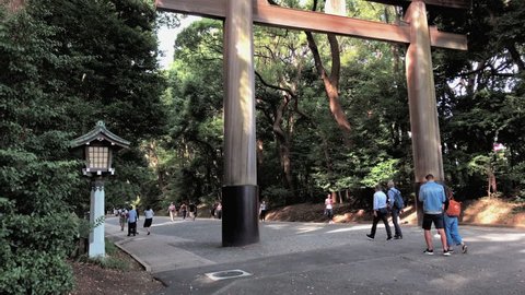Wooden Torii is located in front of Meiji Shrine, Harajuku, Tokyo, Japan
