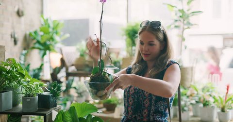 Woman finding a beautiful orchid in interior boutique plant shop with soft day lighting. Close up to Medium shot on 4k RED camera.