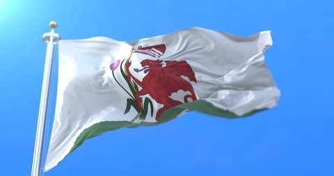 Flag of the welsh city of Cardiff in Wales. Loop