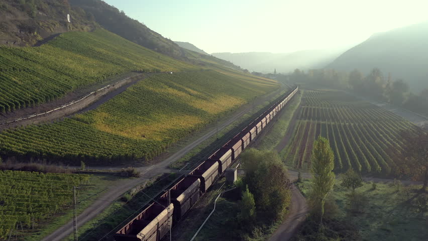 Freight Train Passing Through Vineyards In Germany at Sunset  Royalty-Free Stock Footage #1018639636