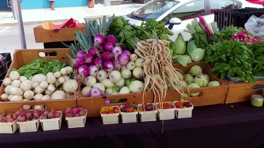 Vegetable stall at the farmers market - Filmed outdoors on a sunny market day in Canada Royalty-Free Stock Footage #1018648960