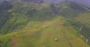 Vietnam landscapes. Rice fields on terraced of Mu Cang Chai, YenBai, Vietnam. Royalty high-quality free stock footage of beautiful terrace rice fields prepare the harvest at Northwest Vietnam