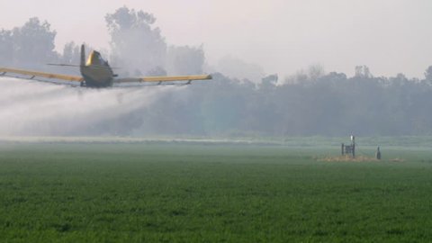 Airplane spraying Wheat fields
Airplane spraying Wheat fields, Hula Valley, Israel
