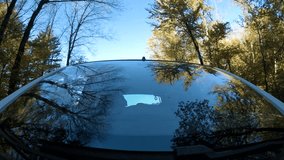 Windshield trees reflection from car hood 4K. Camera on the car hood with the windshield in focus while driving through a forest with reflections and blue sky in the background. - Powered by Shutterstock - Get 15% off with code: PIKWIZARD15