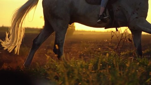 Close-up of girl legs riding on a horse on the field during sunset, slow motion