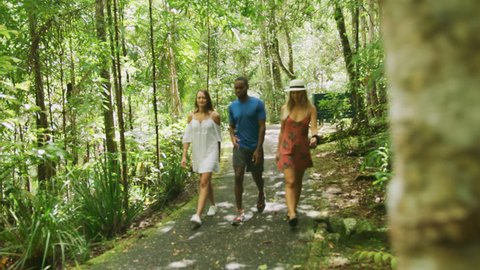 Three young, happy diverse friends walk and talk through a forest in Australia in natural sunlight. Wide shot on 4k RED camera.