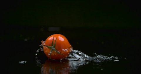Red plump tomato rolling across water against a black background in soft studio lighting. Medium shot on 4k RED camera.