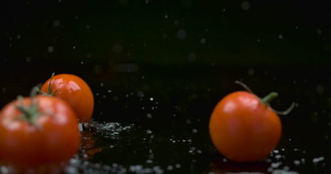 Red plump tomato rolling across water against a black background in soft studio lighting. Medium shot on 4k RED camera