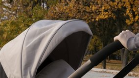 Pushchair with baby in outdoor walk 4K video