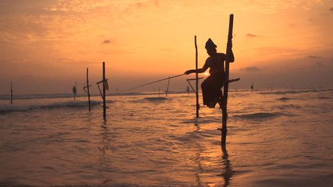 Iconic Sri Lanka Stilt Fisherman, traditional fishing,sunset, Sri Lanka