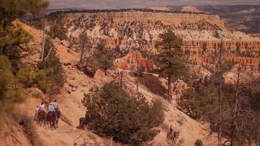 Horse riding trail and people on adventure tour