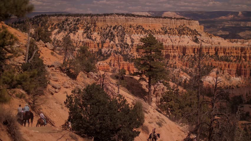 A group of people horseback riding in nature