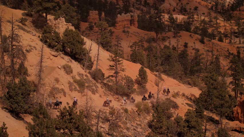 A group of tourists riding horses in wild