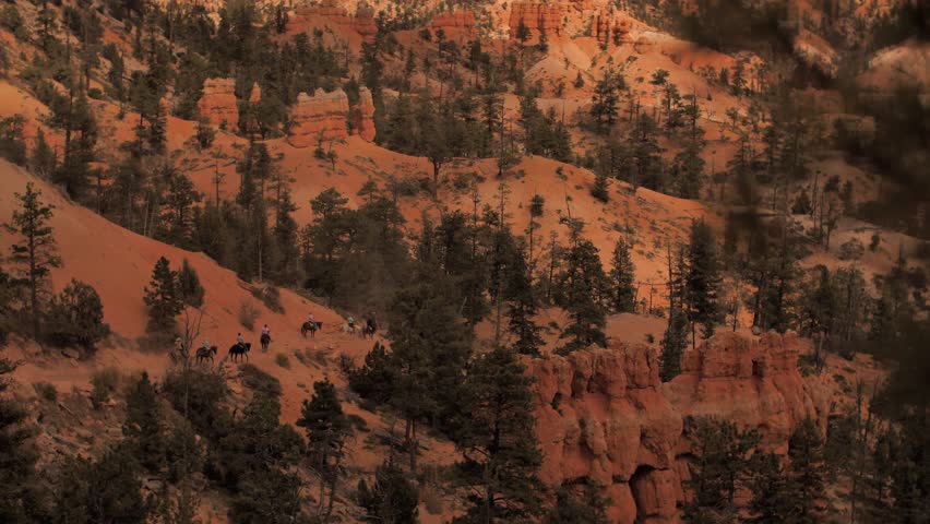 Horseback riding tour