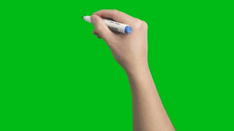 Male Hand Whiteboard Blue Marker Scribble Writing Loop Animation  shot on Green Screen Chroma Key and Prekeyed for One Click Keying