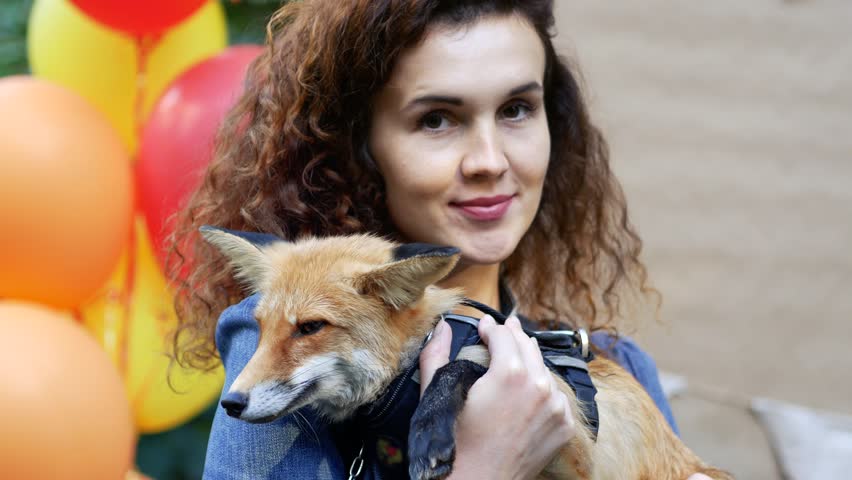 Cute fox on young woman