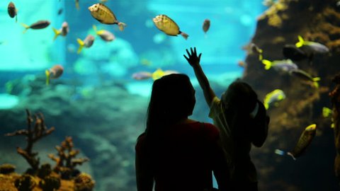 Silhouette Of Family. Daughter With Mother Excited To Watch The Dolphin Swimming Under Water In The Aquarium.