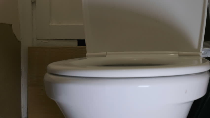 Czechtoilet