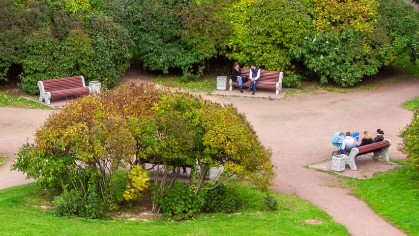 One year in seconds. Seasonal change in park. Shot in Saint-Petersburg. Timelapse.