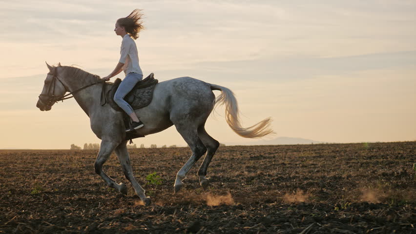 Young blonde girl riding on a horse on the field during sunset, slow motion Royalty-Free Stock Footage #1018805347