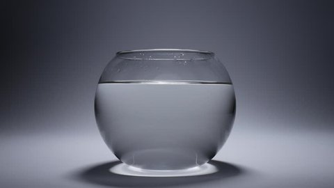 Mini aquarium in which fish are floating. Shooting in a studio on a white bac