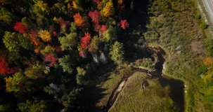 Aerial decent in fall colored trees with a meandering stream as camera pans up for a reveal of the Adirondack mountains