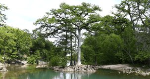 This is a video of the Guadalupe River just below the dam on Canyon Lake.