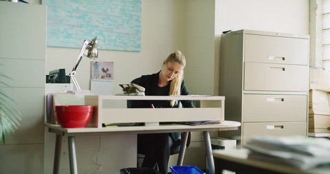 Blonde business woman works at white desk in office during the daytime. Medium shot on 4K RED camera.