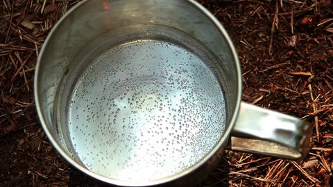 Boil water in a metal bowl in the forest. Time lapse