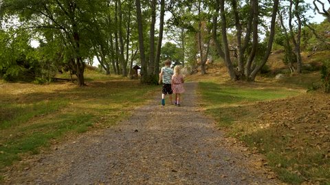 Boy and girl walking on a road in the forest