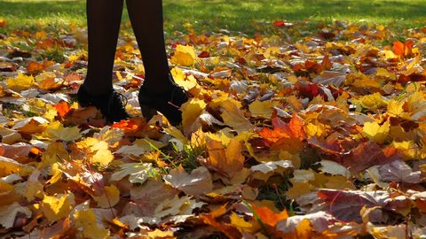 Lady in elegant high heel shoes walk on autumn foliage, kick leaves by boot tip, slow motion shot. Low camera show legs in black tights and leafage cover on park ground