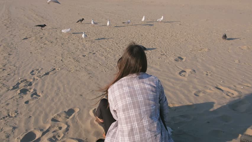 Woman is feeding birds gulls and crows on a sandy beach.