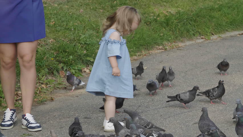Daughter and mother feed a flock of pigeons. Baby have fun. Slow motion. Happy family concept. 