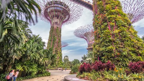 SINGAPORE - CIRCA JUNE 2018: Supertrees at Gardens by the Bay timelapse hyperlapse. The tree-like structures are fitted with environmental technologies that mimic the ecological function of trees.
