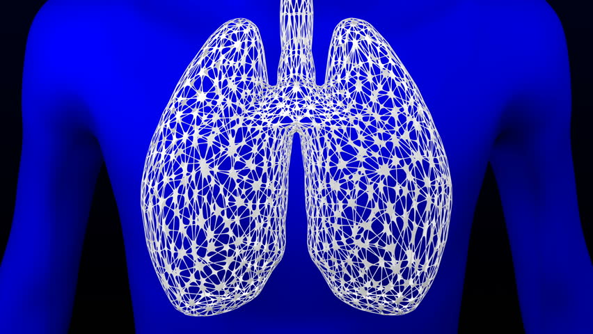 Concept: lungs as grid change color from white to black and back. Loopable. Luma matte. 3D rendering. | Shutterstock HD Video #1018875160